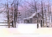 country snow Color Filters-2